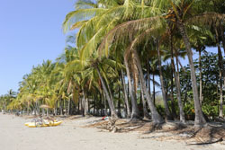 Samara strand met palmbomen